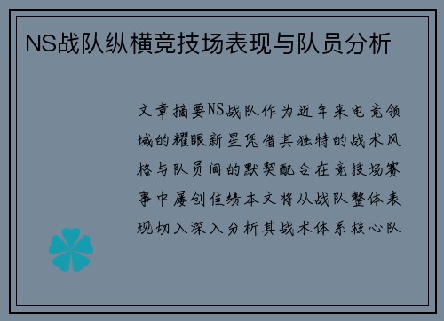 NS战队纵横竞技场表现与队员分析