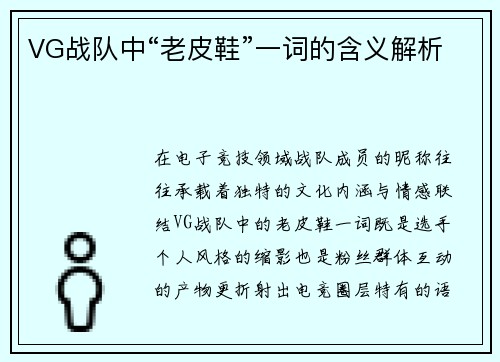 VG战队中“老皮鞋”一词的含义解析